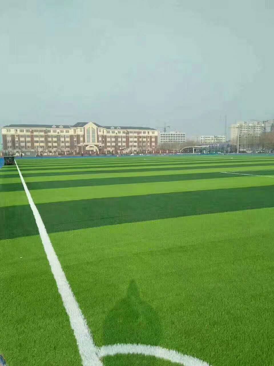 河源市彩色epdm颗粒仿真草坪 - 价格